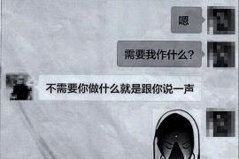 武夷山专业讨债公司有哪些核心服务？